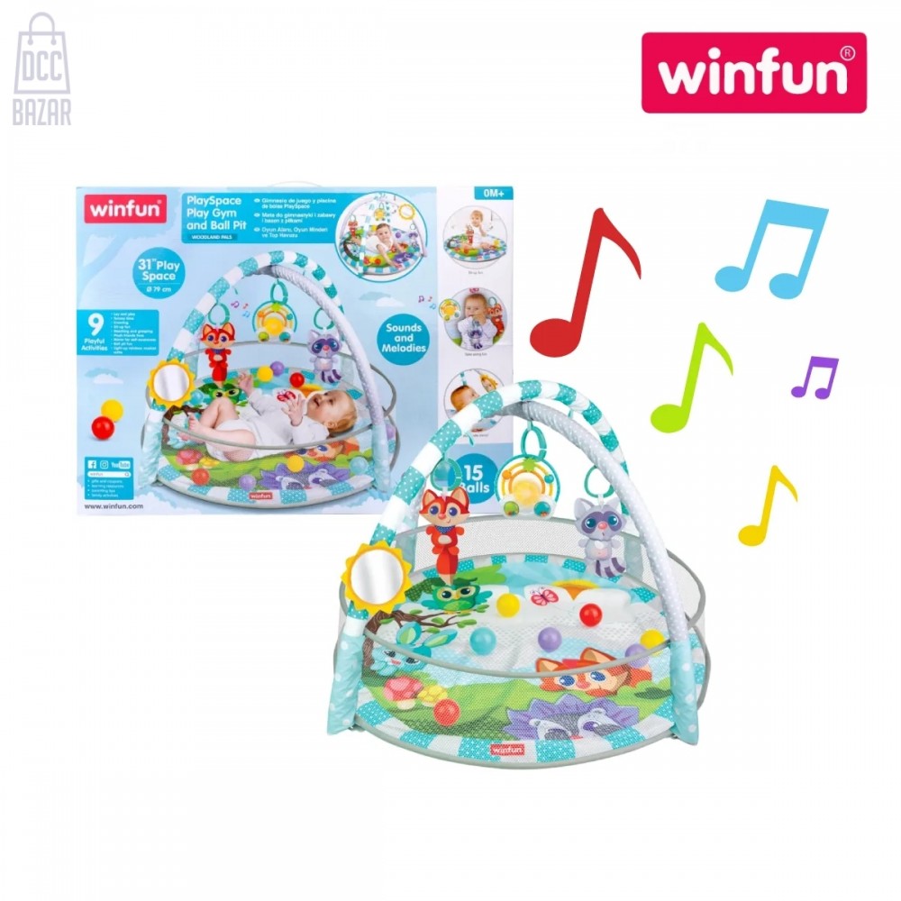 Winfun 710000 PlaySpace Play Gym and Ball Pit