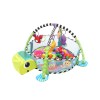3-in-1 Baby Activity Gym & Ball Pit Grow with Me Play Mat for Infants & Toddlers