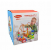 Colorful Wooden Bead Maze - Math and Motor Skills Learning Toy