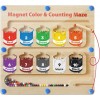Montessori Magnetic Maze & Color Sorting Toy with Counting Board - Develops Fine Motor Skills & Color Recognition