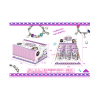Create Your Own Story 6-Box Pandora-Style Bead Bracelet Making Kit