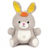 Winfun 000279 Play-with-Me Dance Pal – Bunny