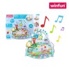 Winfun 710000 PlaySpace Play Gym and Ball Pit